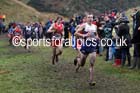 Senior mens Great Edinburgh Cross Country. Photo: David T. Hewitson/Sports for All Pics